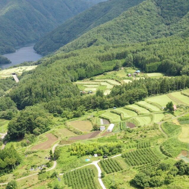 奈川そば畑風景イメージ