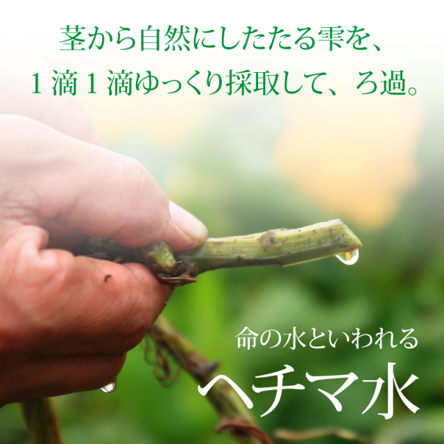 公式 無添加へちま化粧水 なごころへちま水