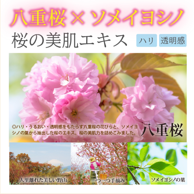 公式 桜と七草のハーブで作ったお水のクリーム 無添加オールインワンゲル なごころ化粧品
