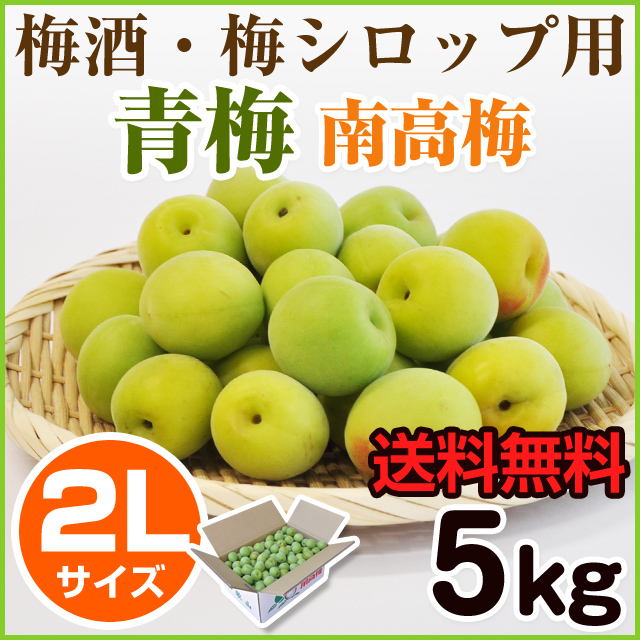 青梅 紀州南高梅 2L