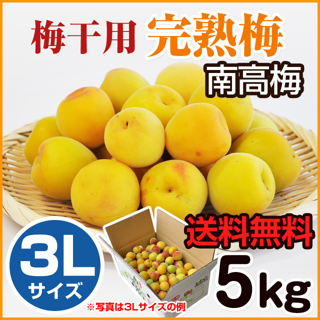 完熟梅 5kg 3L