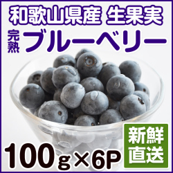 ブルーベリー