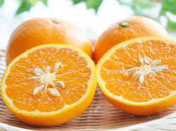 清見オレンジ（清見タンゴール）