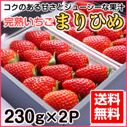 完熟イチゴ まりひめ 約230g×2パック【送料無料】