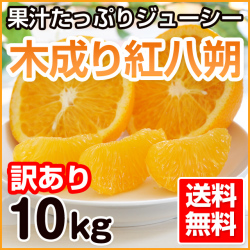 紅八朔（べにはっさく）