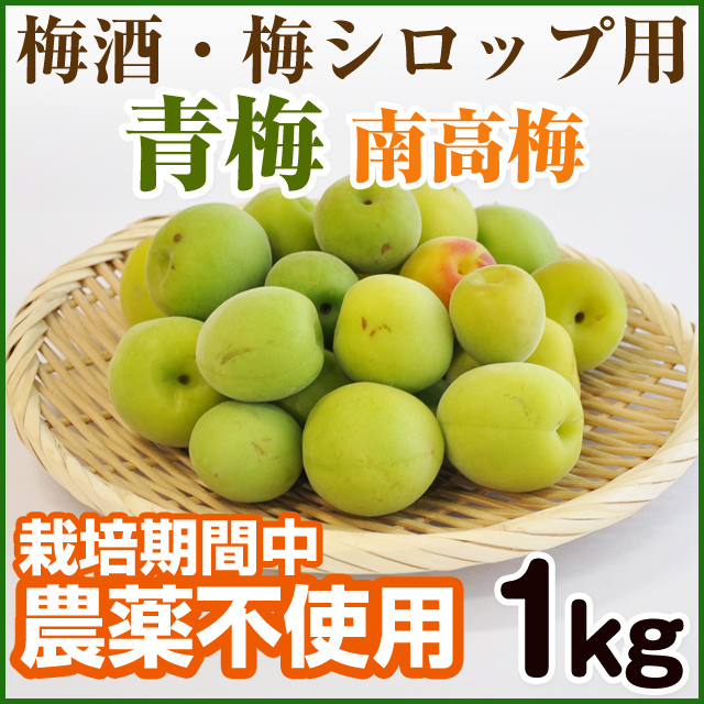 青森県産農薬不使用豊後梅10キロ送料無料 かゆく