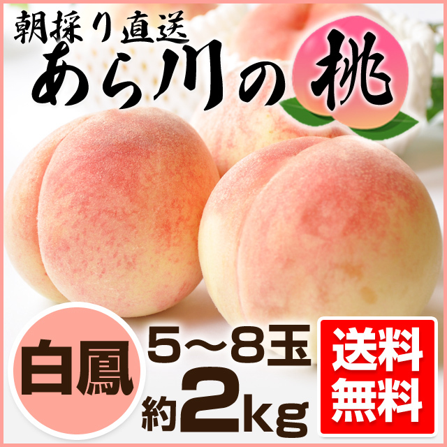 あらかわの桃 白鳳 約２kg ギフト向け 和歌山県桃山町産 和歌山の農家産直通販 販売 和味