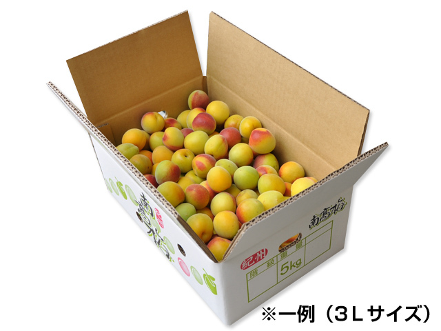 完熟梅 梅干用 （南高梅） 5kg （4Lサイズ） みなべ産 | 和歌山の農家 