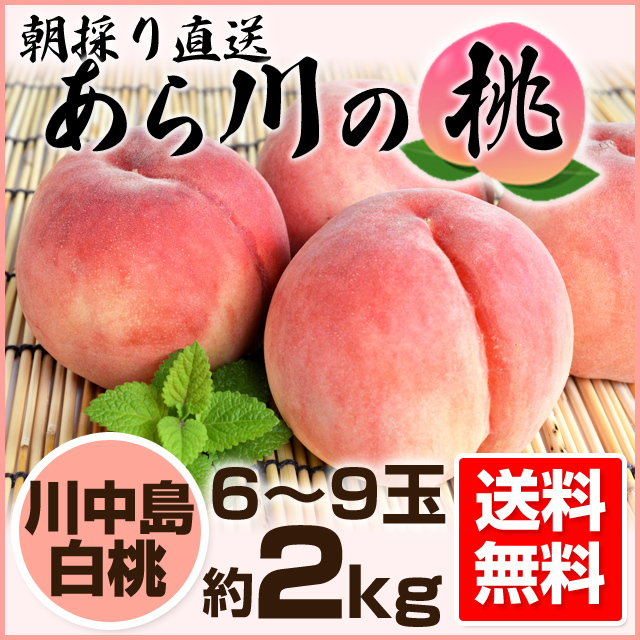 あらかわの桃 川中島白桃 約２kg 和歌山の農家産直通販 販売 和味