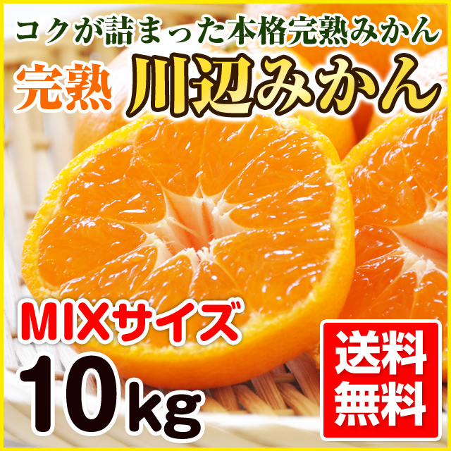 ご家庭用】 完熟川辺みかん 10kg MIXサイズ 送料無料 | 和歌山の農家 