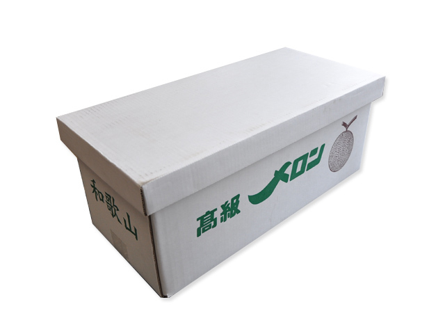 アールスメロン（大玉）3L×3玉 和歌山産 送料無料 | 和歌山の農家