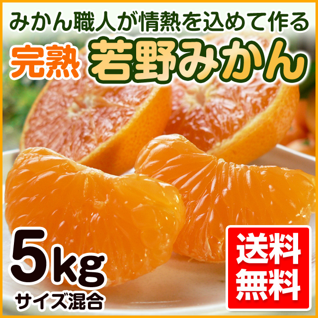 完熟若野みかん 5kg 送料無料 | 和歌山の農家産直通販・販売-和味