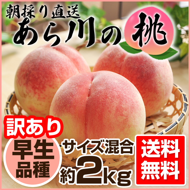 訳あり】 あらかわの桃 （日川白鳳・八幡白鳳） 約2kg 和歌山県桃山町 