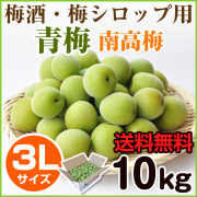 手摘み青梅（紀州南高梅） 5kg （3Lサイズ） みなべ町産など | 和歌山 