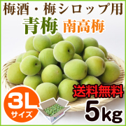 手摘み青梅（南高梅） 10kg （大粒3Lサイズ）業務用 【送料無料 