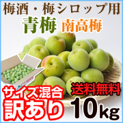 手摘み青梅（南高梅） 10kg （2Lサイズ） 業務用 【送料無料 