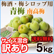 手摘み青梅（南高梅） 10kg （大粒3Lサイズ）業務用 【送料無料 