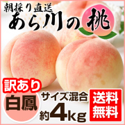 あらかわの桃 （白鳳） 約2kg ギフト向け 和歌山県桃山町産 | 和歌山 