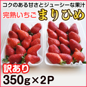 完熟イチゴ まりひめ 大粒 特選デラックス (ギフト・贈答・ご進物 ...