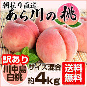 川中島白桃 あらかわの桃 | 和歌山の農家産直通販・販売-和味