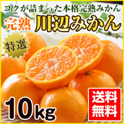 ミカンページ 特選】 完熟川辺みかん 7.5kg 送料無料 | 和歌山の農家産直通販-和味