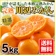 みかん7個 セブンイレブンのミカンがヘルシーでおいしい！ 「口の中が