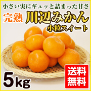 太平洋のみかん みかん様 しずおか夢工房 静岡温室メロン＆ハウスみかん: ギフト
