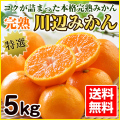 完熟 川辺みかん 特選 5kg