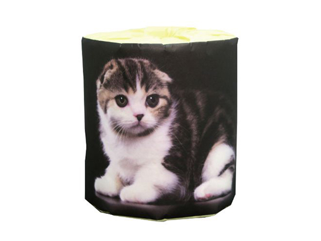 トイレットペーパー 販促用 仔猫 スコティッシュ ダブル30m 個包装100個
