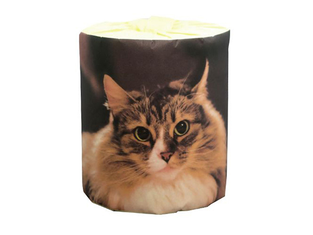 トイレットペーパー 販促用 仔猫 ノルウェージャン ダブル30m 個包装100個