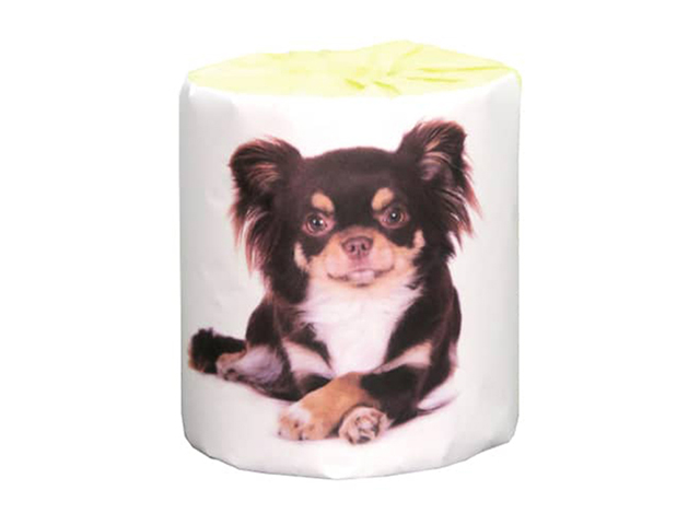 トイレットペーパー 販促用 仔犬 チワワ ダブル30m 個包装100個