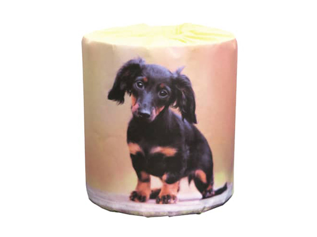 トイレットペーパー 販促用 仔犬 ミニチュアダックス ダブル30m 個包装100個