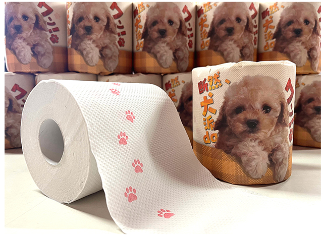 林製紙 トイレットペーパー 断然、犬派daワン！！ ダブル30m 個包装100個