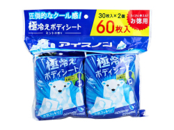 ボディシート 白元アース アイスノン 極冷えボディシート 大判タイプ ミントの香り 30枚 2個入り X4パック