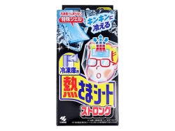 冷却ジェルシート 小林製薬 熱さまシート 冷凍庫用 ストロング 大人用 2枚X6パック 12枚入り X6箱