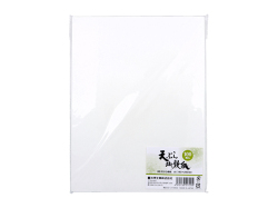 大黒工業 天ぷら敷紙 大サイズ 190mm×250mm 100枚入り X20パック
