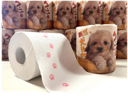 林製紙 トイレットペーパー 断然、犬派daワン！！ ダブル30m 個包装100個