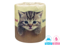 林製紙トイレットペーパー　やっぱり猫が好き