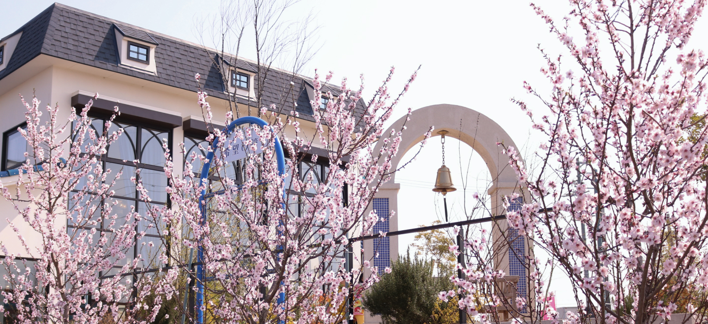 アーモンドまつり店舗