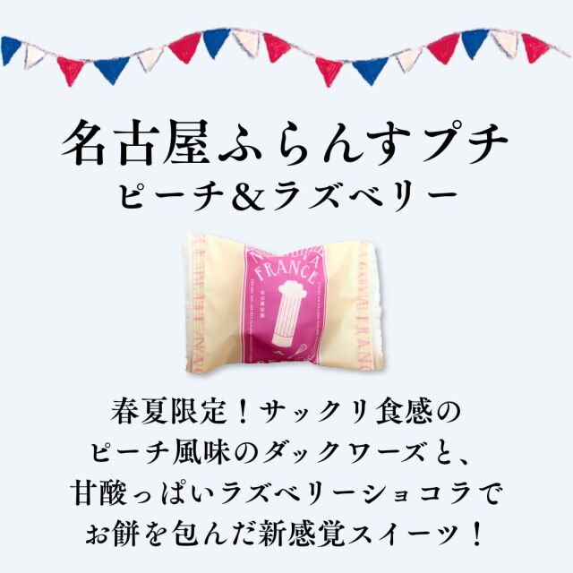 期間限定】名古屋ふらんすル・キャドー 24個入