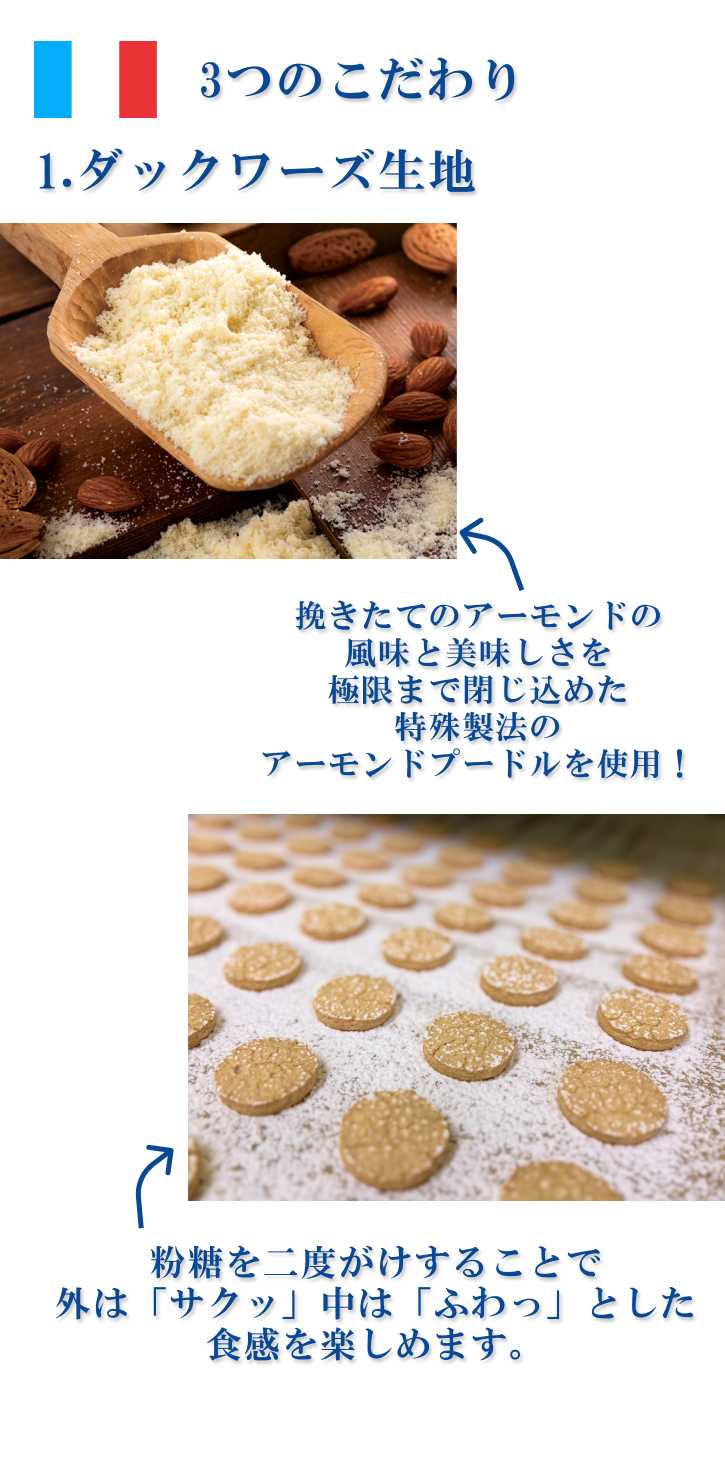 名古屋ふらんすプチ 中身イメージ