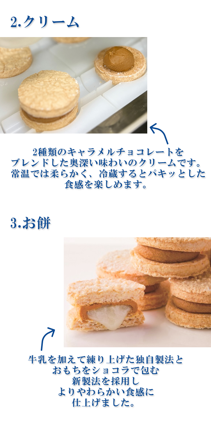 名古屋ふらんすプチ 中身イメージ