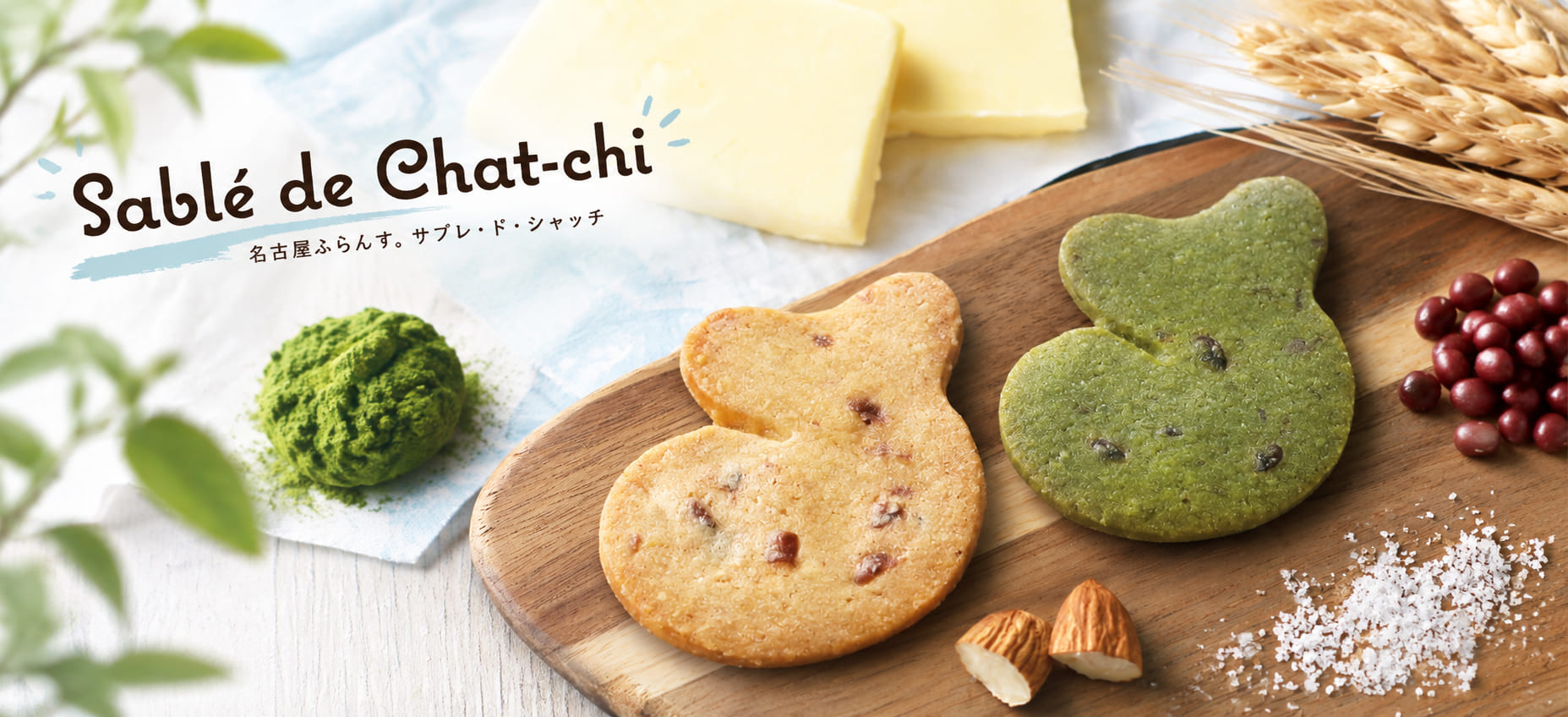 サブレ・ド・シャッチ_新商品_お配り_プレゼント_職場_お配り_お礼_お菓子