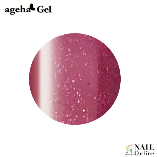 【ageha Gel】　コスメカラー 249　(マットグリッター 濃度2.5) ダークプラム 2.7g