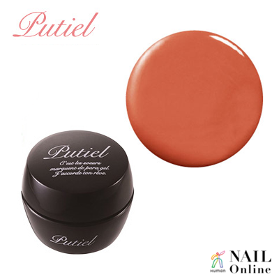 【Putiel】 カラージェル 2g M 295 ラテテラコッタ ★ （マット）