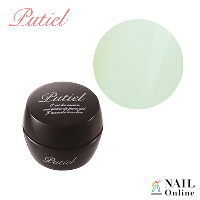 【Putiel】 カラージェル 2g M 309　スウェーディッシュミント