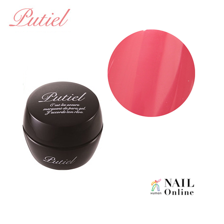 【Putiel】 カラージェル 2g M 310　ラフレーズ