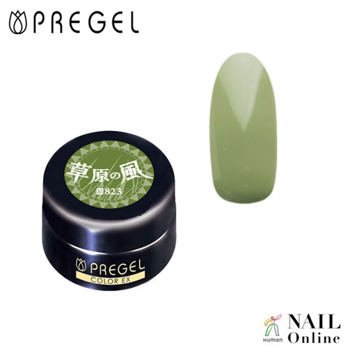 【PREGEL】 【マット】 3g　カラーEX  PG-CE823  草原の風