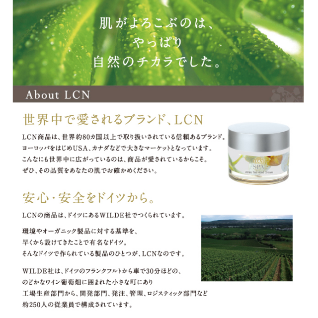 【LCN】 ダイヤモンドパワー トップアンド ベースコート 8ml