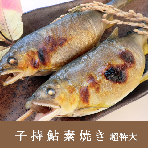 卵たぁ～っぷり、食べ応え満点【子持鮎素焼き超特大サイズ】